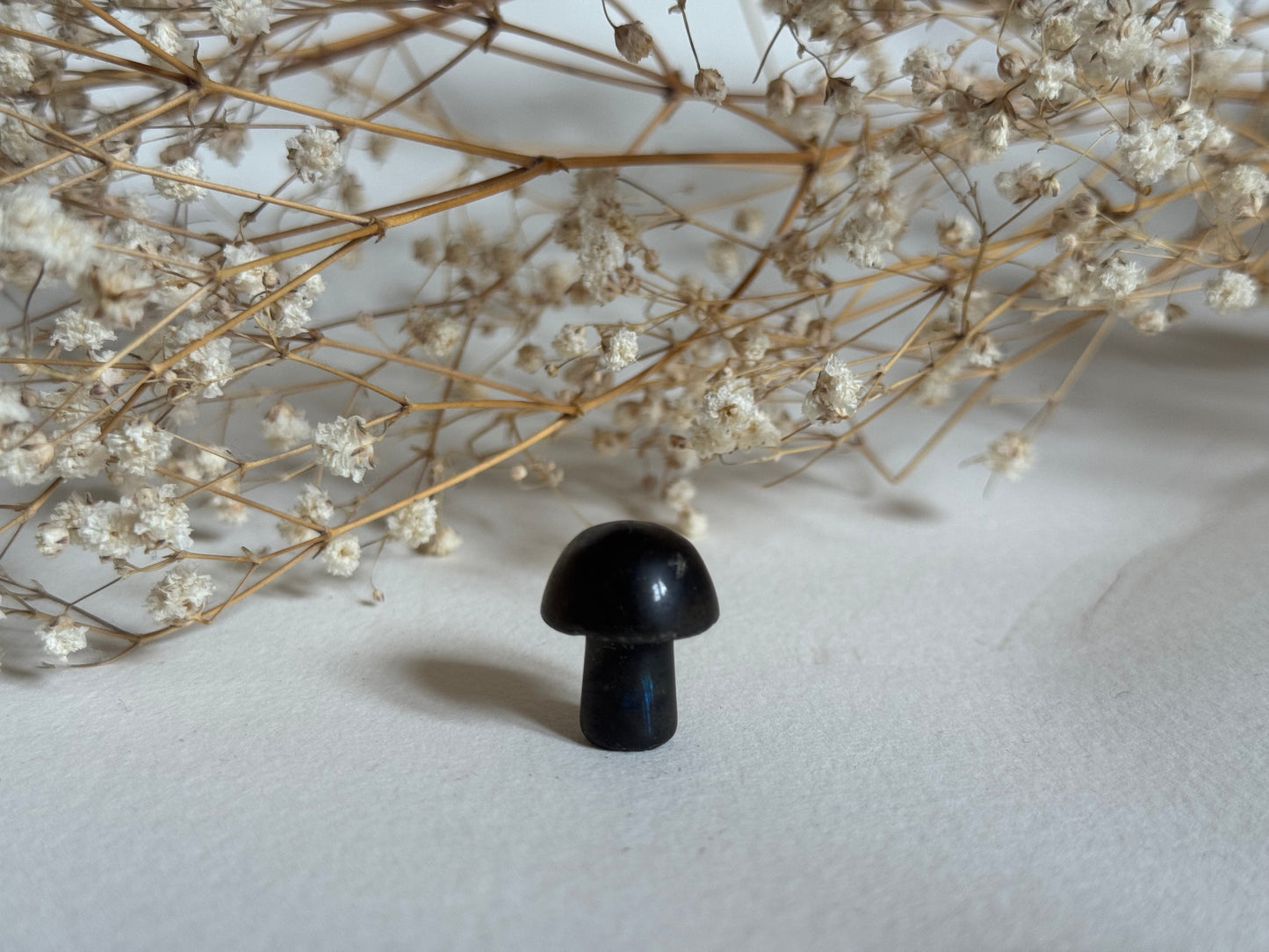 Mini Mushroom Crystals