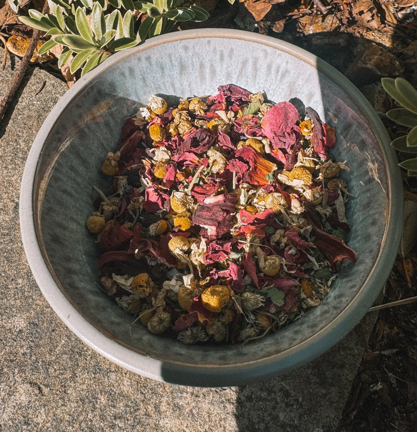 Spring Equinox Loose Tea Blend