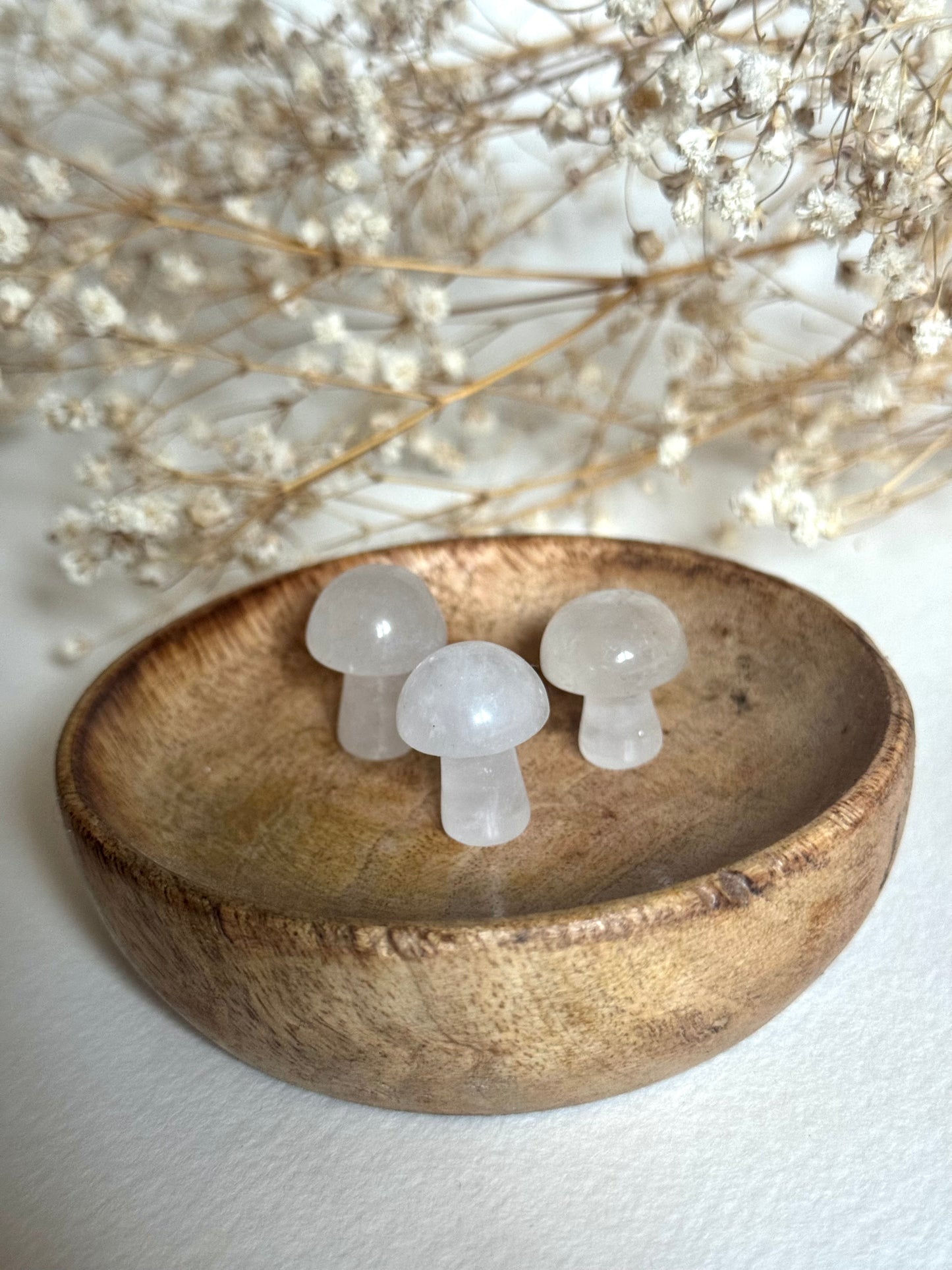 Mini Mushroom Crystals