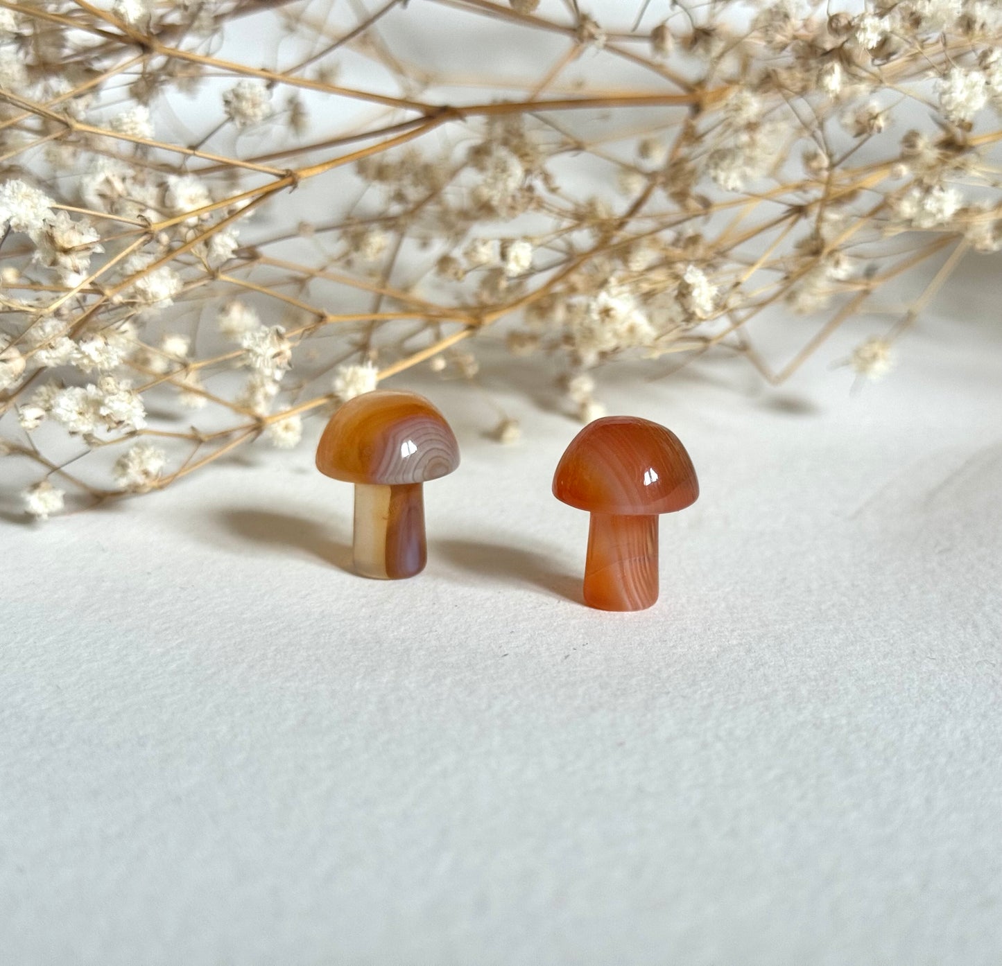 Mini Mushroom Crystals