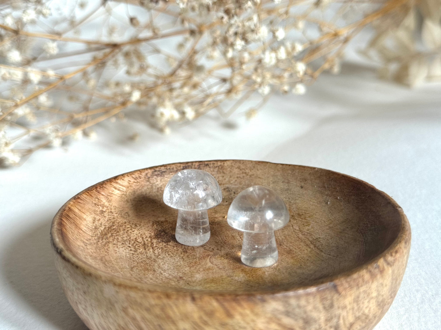 Mini Mushroom Crystals