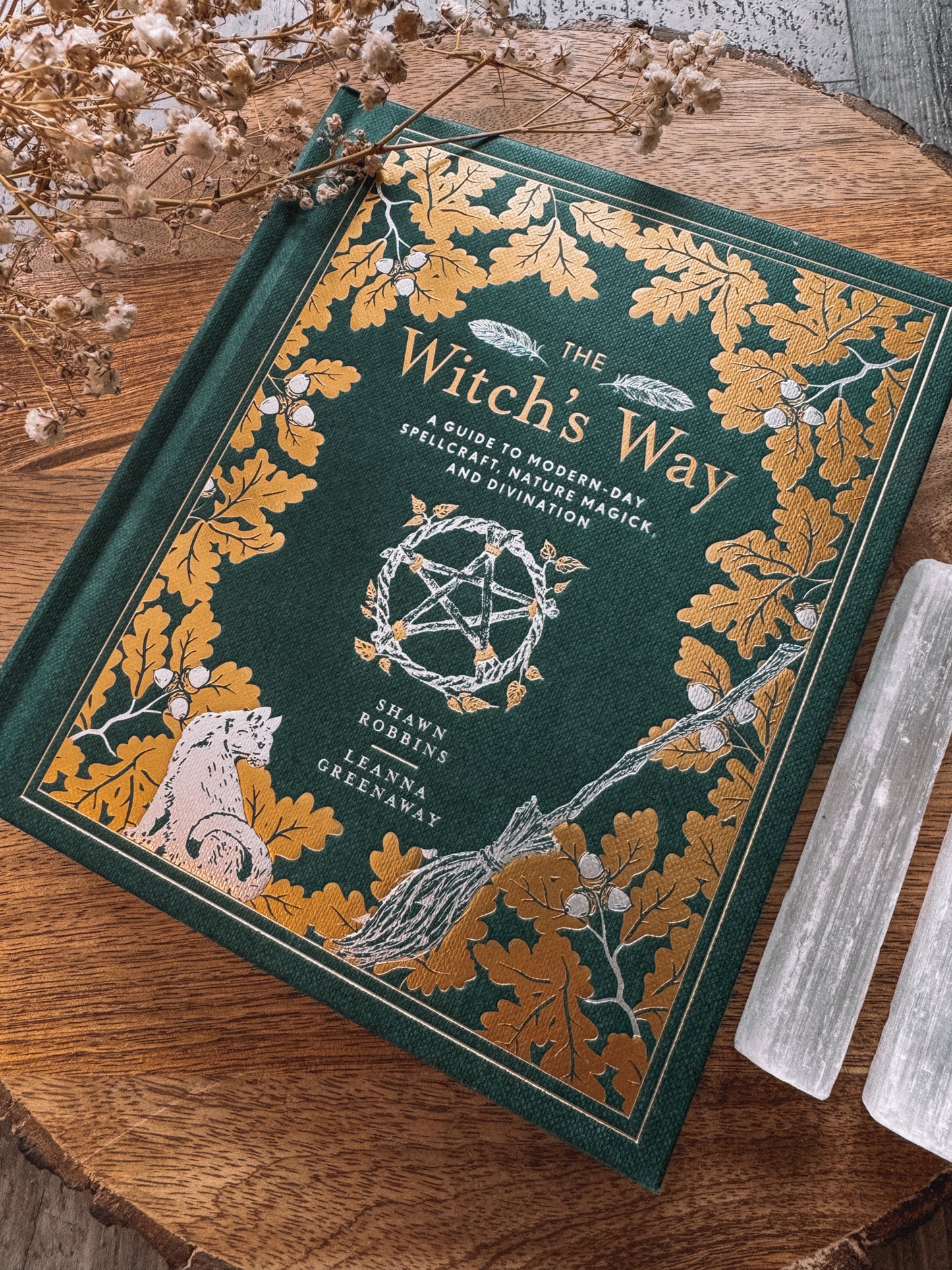 The Witch’s Way (Hardback)