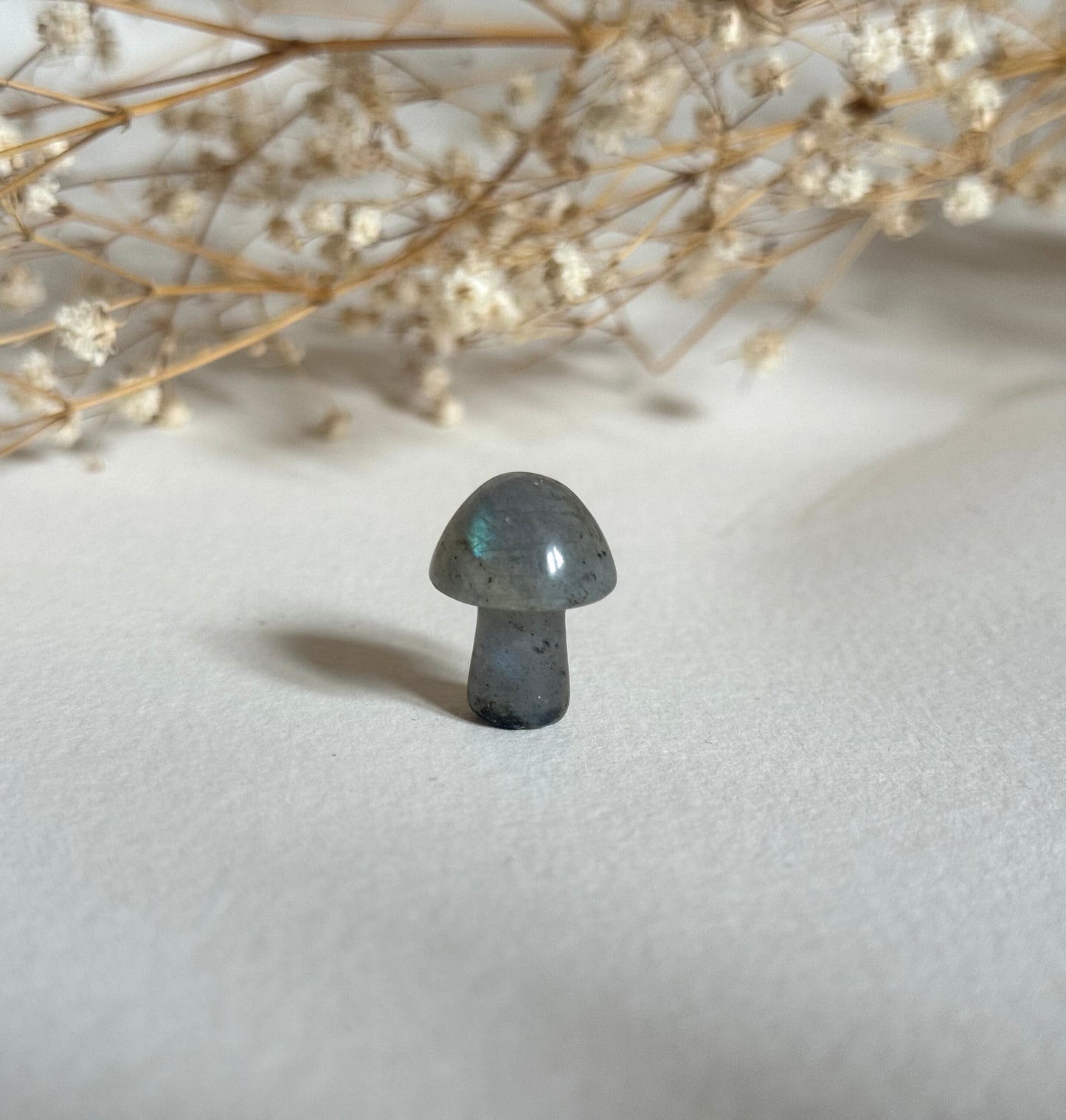 Mini Mushroom Crystals