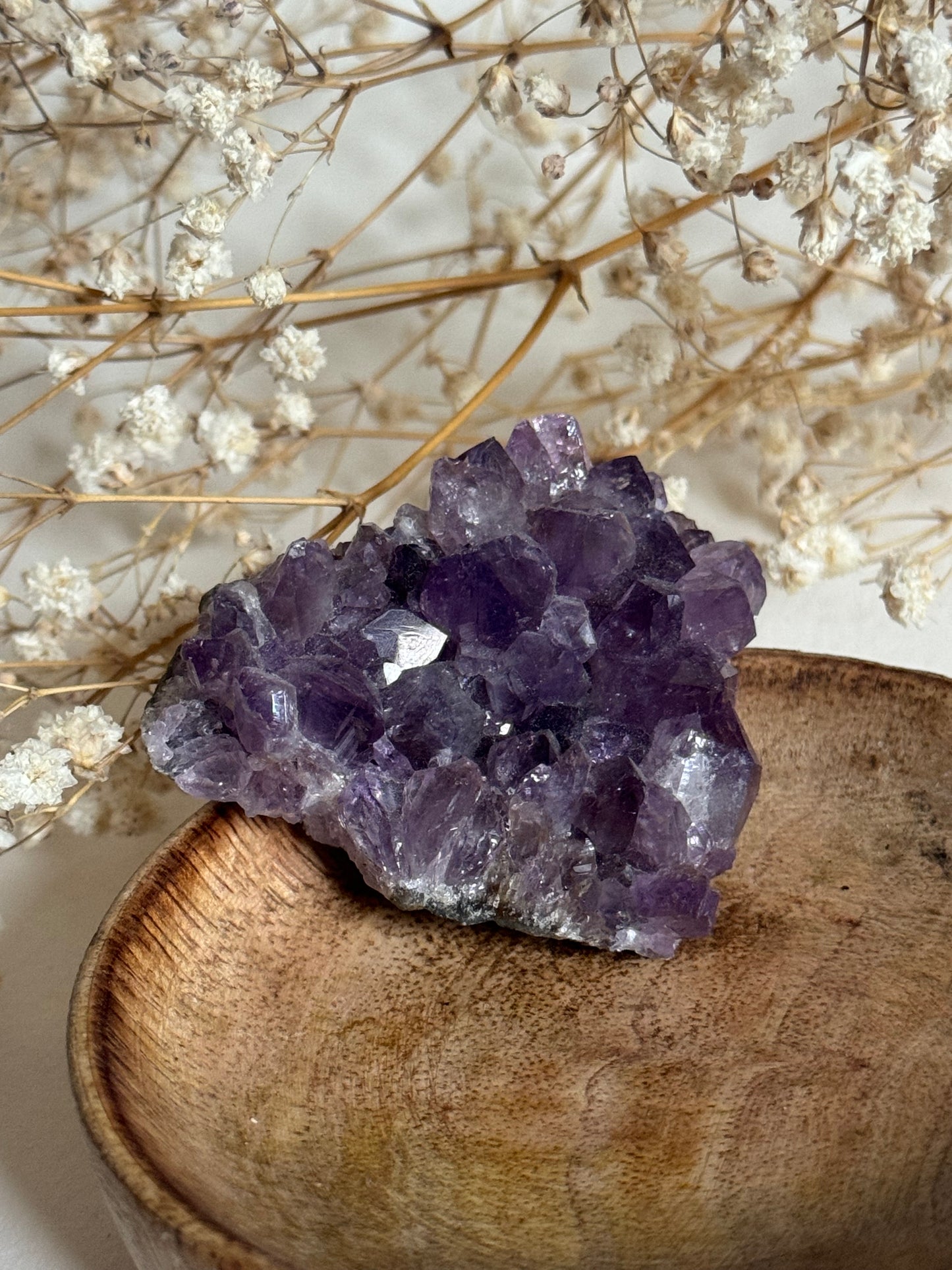 Amethyst Cluster