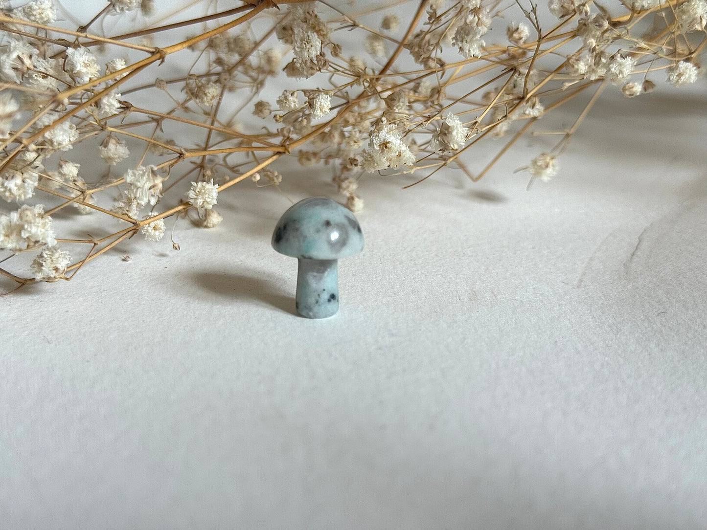 Mini Mushroom Crystals